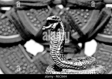 Le Feng Shui de l'année du Serpent Banque D'Images