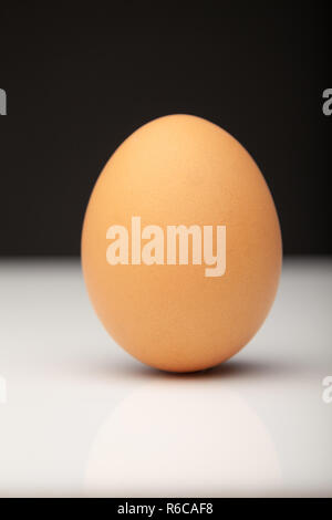 Un seul oeuf brun sur un fond blanc. Banque D'Images
