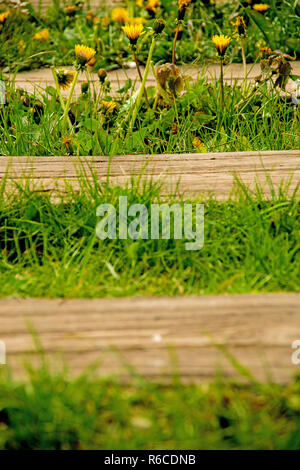 Rails de l'ordre de fleurs Banque D'Images