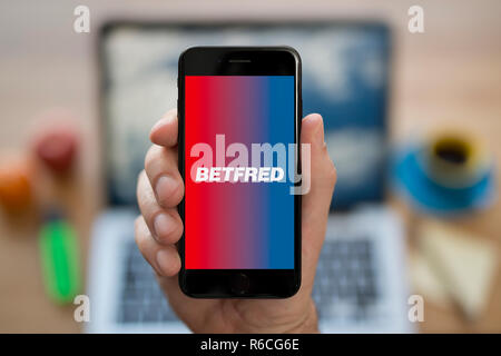 Un homme se penche sur son iPhone qui affiche le logo Betfred, tandis qu'assis à son bureau de l'ordinateur (usage éditorial uniquement). Banque D'Images