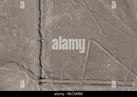 Au Pérou, les lignes de Nasca, vue aérienne, l'Araignée géante Banque D'Images