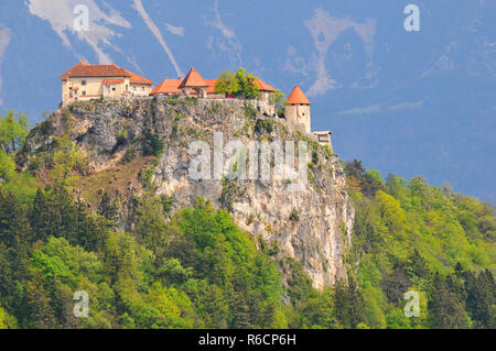 Le château château médiéval construit sur un surplomb au-dessus de la ville de Bled en Slovénie Banque D'Images
