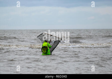 Pêcheur de crevettes, taille profonde dans la mer à Blackpool, Lancashire. Déc. 2018. Météo Royaume-Uni : ciel gris alors que les pêcheurs de crevettes Push Net chalutent le littoral. Les filets de poussée de crevettes sont idéaux pour la crevette et la crevette, mais les habitants ne trouvent que de petits rendements imputables à la qualité de l'eau, qui est considérée comme trop propre. Banque D'Images