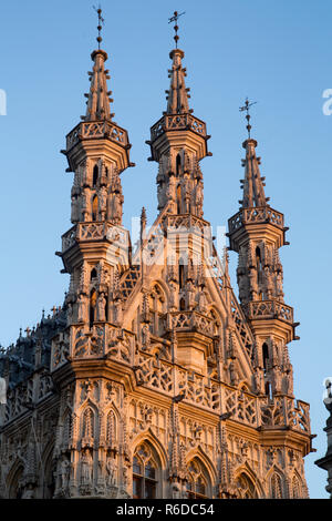 L'Hôtel de ville de Leuven Banque D'Images