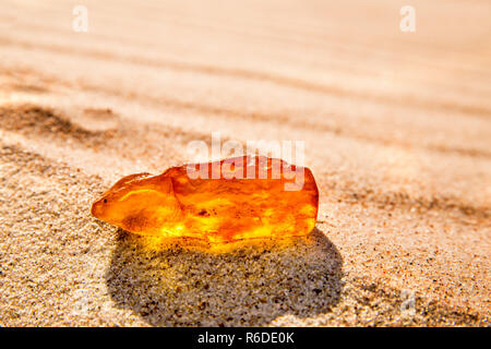 L'ambre dans soleil sur une plage de la mer Baltique en Pologne Banque D'Images