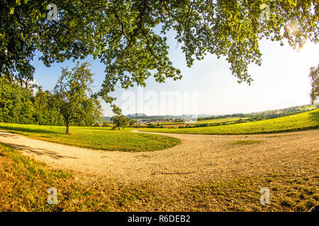 Paysage avec chemin, Meadow, arbre et Vue de la Souabe Allemand Highlands Banque D'Images