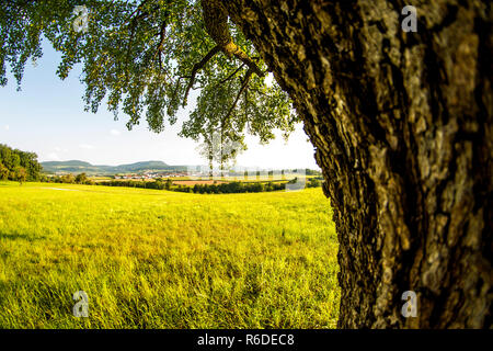 Paysage avec Prairie, arbres et une vue sur le Jura souabe allemand Highlands Banque D'Images