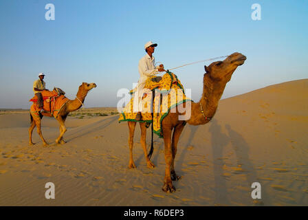 L'Inde, Jaisalmer, Chameau Banque D'Images