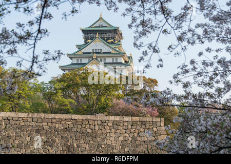 Vue rapprochée du château d'Osaka durant la saison de floraison des cerisiers en fleur Banque D'Images