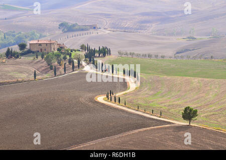 Dans la campagne d'Orcia, près de Pienza, Toscane, Italie Banque D'Images