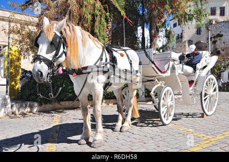 Un cheval et un chariot Taxi dans le quartier du port historique de La Canée (Hania ou la Canée, Crète, Grèce) Banque D'Images