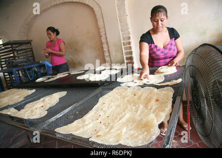 SAN JOSE DEL CABO, MEXIQUE - Mars 16, 2012 : Des femmes de faire des tortillas faites maison dans une petite boulangerie à San Jose del Cabo, Mexique Banque D'Images