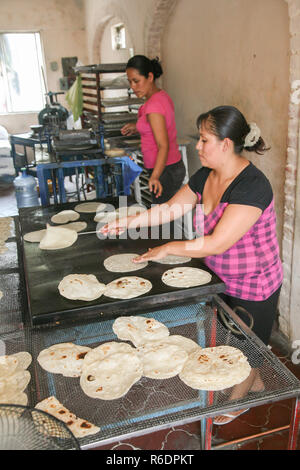 SAN JOSE DEL CABO, MEXIQUE - Mars 16, 2012 : Des femmes de faire des tortillas faites maison dans une petite boulangerie à San Jose del Cabo, Mexique Banque D'Images