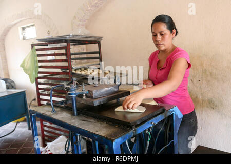 SAN JOSE DEL CABO, MEXIQUE - Mars 16, 2012 Local : femme fait home made les tortillas de pâte de maïs dans une petite boulangerie à San Jose del Cabo, Mexique Banque D'Images