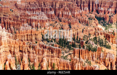 Le Parc National de Bryce Canyon, est connu pour les cheminées de couleur pourpre, qui sont des formations rocheuses en forme de spire. Il n'a donne sur le coucher du soleil au lever du soleil, Point P Banque D'Images