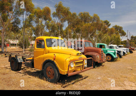 Dans les vieux camions Vintage est la plus grande ville de Tailem Pionieer Tailem Bend, Village, Australie Banque D'Images