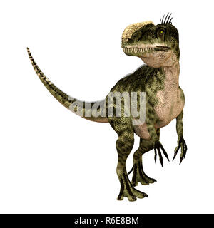 Le Rendu 3D Dinosaur Monolophosaurus on White Banque D'Images