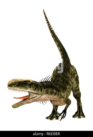 Le Rendu 3D Dinosaur Monolophosaurus on White Banque D'Images