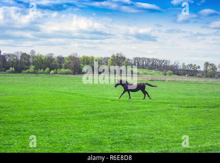 Printemps paysage pastoral et rural cheval brun sur pré vert. Running horse dans les champs le printemps, le printemps dans village Banque D'Images