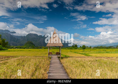 Champ de riz entouré par des formations rocheuses à Vang Vieng, Laos Vang Vieng est une destination populaire pour le tourisme d'aventure dans un paysage karstique calcaire Banque D'Images