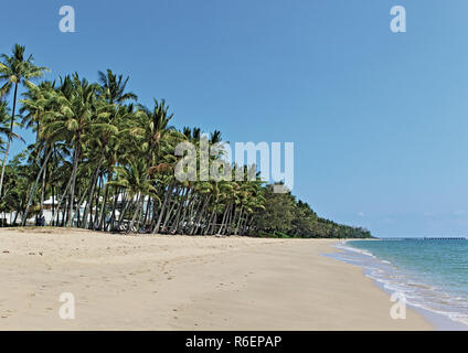 La belle étendue de sable sur Palm Cove beach nord depuis la jetée vers l'Alamanda autour Banque D'Images