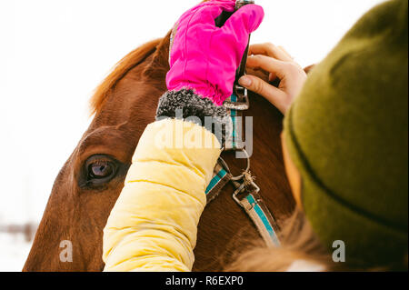 Femme dans les vêtements d'hiver et le cheval à lutter ensemble contre la neige blanche. d'amour et de soins pour les chevaux. girl met une patte sur un cheval Banque D'Images