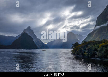 Milford Sound, parc national de Fiordland, Nouvelle-Zélande Banque D'Images