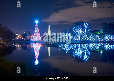 Arbre de Noël et des arbres dans le parc Ibirapuera de nuit en décembre à Sao Paulo, Brésil. Banque D'Images