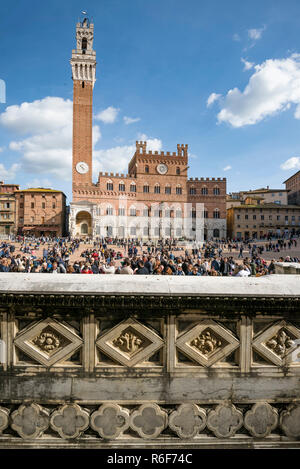 Vue verticale de la Piazza del Campo et la Torre del Mangia à Sienne, Italie.