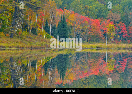 Réflexions d'automne dans la région de Henvey Inlet, près de la rivière clés, Canton Henvey, Ontario, Canada Banque D'Images