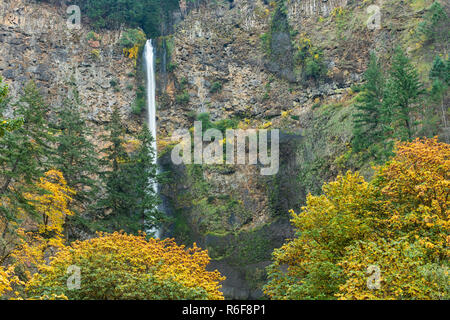 Multnomah Falls, 630 pieds de hauteur, Automne, comté de Multnomah, ou, aux États-Unis, par Dominique Braud/Dembinsky Assoc Photo Banque D'Images