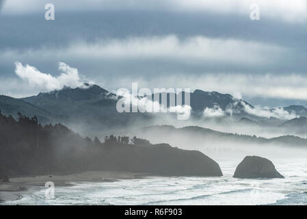 Un épais brouillard, parc d'état d'Ecola, vus de Cannon Beach, Oregon, USA, par Dominique Braud/Dembinsky Assoc Photo Banque D'Images