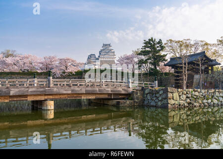 Le château de Himeji au cours de saison de floraison des cerisiers en fleur Banque D'Images