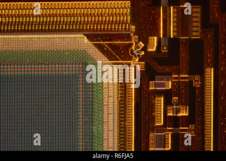 Grossissement extrême - capteur de l'appareil photo sous le microscope Banque D'Images