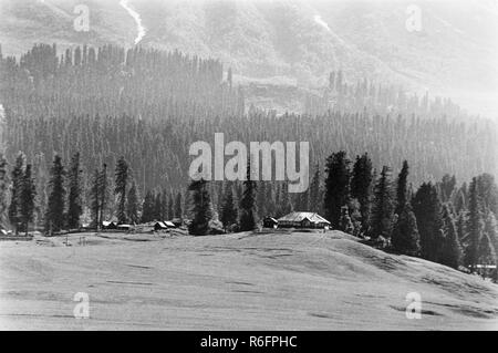 Paysage à Gulmarg, station de colline, quartier de Baramulla, Jammu-et-Cachemire, Inde, ancienne image vintage 1900s Banque D'Images