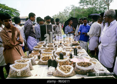 Marché de la médecine ayurvédique, ancien système médical indien, Kerala, Inde, fournisseur indien de médicaments ayurveda Banque D'Images