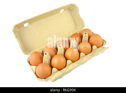 Dix oeufs oeufs brun en carton papier Banque D'Images