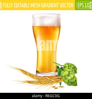 Verre de bière et le houblon sur fond blanc. Vector illustration Banque D'Images