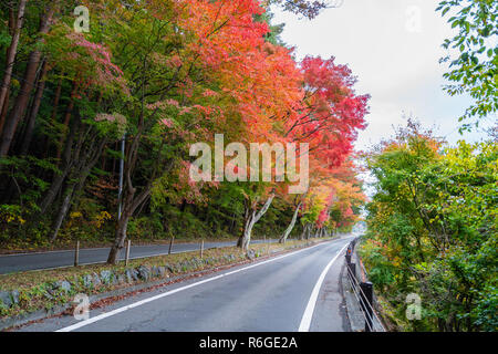 Route de campagne avec de beaux automne au Japon Banque D'Images