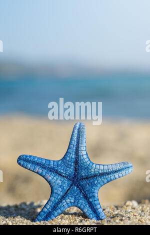 L'étoile bleue épinglée sur le sable à la plage. Bleu de la mer sur l'arrière-plan. Banque D'Images