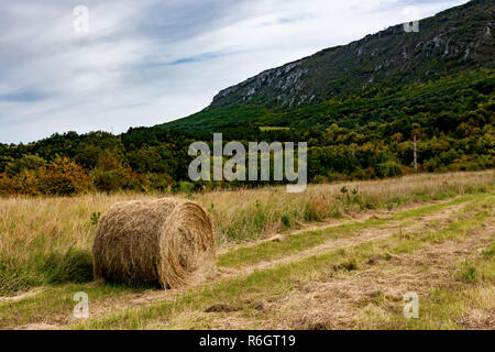 Balles de foin. Domaine de l'agriculture avec mounatin et le ciel. La nature rurale dans les terres agricoles. La paille sur le pré. La récolte de blé d'or jaune à la fin de l'été. Banque D'Images