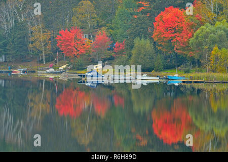 Réflexions d'automne dans la rivière clés, Key River, Ontario, Canada Banque D'Images