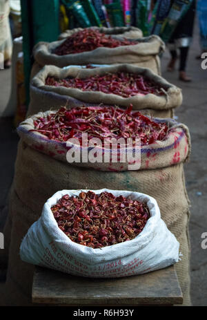 Chilles rouge séché sur l'affichage à ouvrir les sacs de jute en tête à un marché public en Inde. Banque D'Images