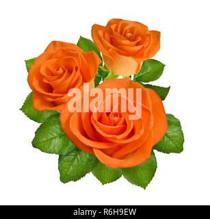 La composition avec des roses oranges. Isolé sur fond blanc. Banque D'Images