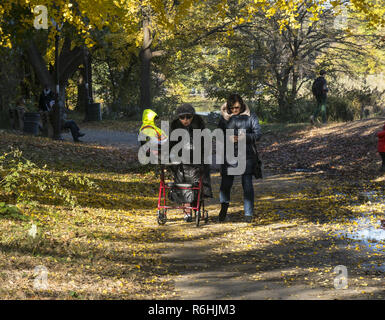 Personnes âgées femme marche avec aide à l'automne le long d'un passage à Prospect Park, Brooklyn, New York. Banque D'Images