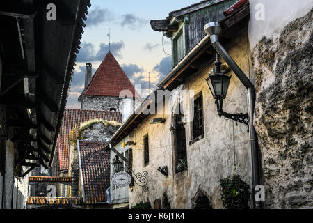 L'architecture médiévale de Katariina käik, ou du passage dans la petite allée cachée à Tallinn, Estonie. Banque D'Images