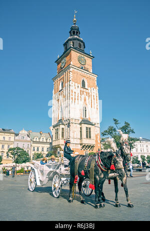 Cracovie, Pologne - 12 septembre 2013 : transport de chevaux sur la place de marché de Cracovie une journée ensoleillée. Cracovie est ville la plus visitée de la Pologne entre les deux à l'étranger Banque D'Images