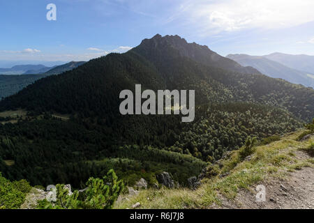 Grand (Grand) Rozsutec hill, vue depuis le petit Rozsutec hill en journée ensoleillée, la Slovaquie. Banque D'Images