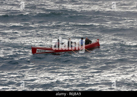 Course d'aviron de Gig, Atkinson, Trophée de l'estuaire Gannel à Newquay Harbor.UK. Banque D'Images