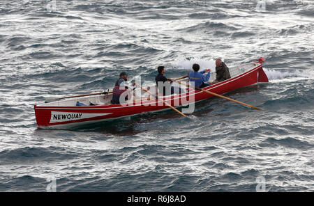 Course d'aviron de Gig, Atkinson, Trophée de l'estuaire Gannel à Newquay Harbor.UK. Banque D'Images